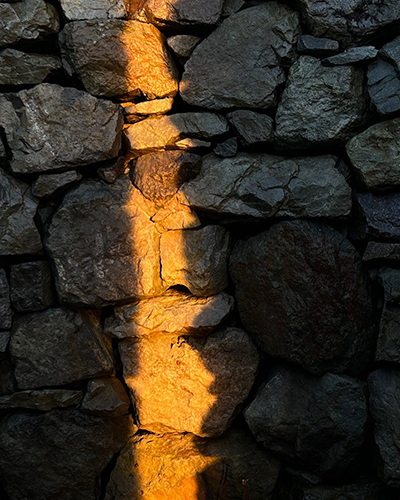 Julie Brook: The Light Watch