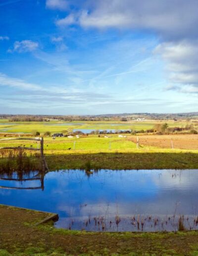 Pulborough Brooks